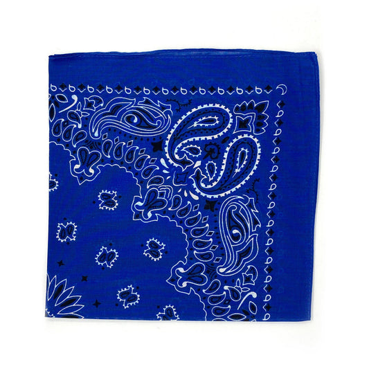 1 Dozen Bandanas Assorted Paisley 100% Cotton Cloth Face Mask Scarf Washable-Dark Colors - Assorted-