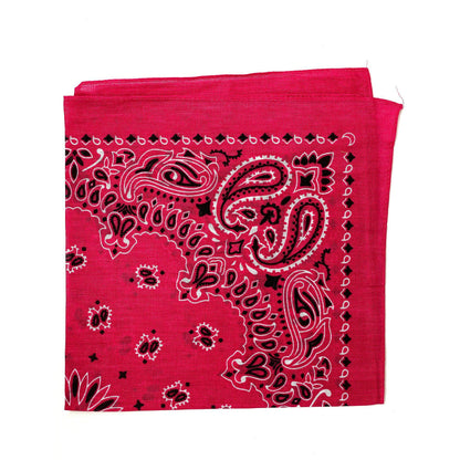 1 Dozen Bandanas Assorted Paisley 100% Cotton Cloth Face Mask Scarf Washable-Dark Colors - Assorted-