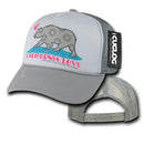 Cuglog 5 Panel California Love Foam Trucker Baseball Hat Cap California Bear-Gray- 7 image